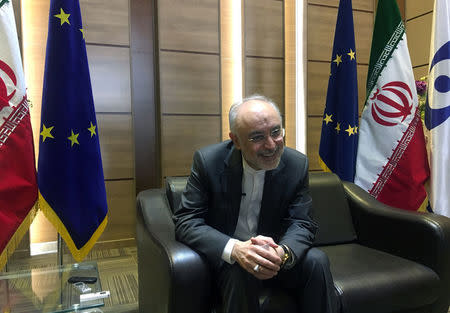 Iran's nuclear chief Ali Akbar Salehi speaks with foreign press after meeting with the European Commissioner for Energy and Climate, Miguel Arias Canete, in Tehran, Iran, May 19, 2018. REUTERS/Alissa de Carbonnel