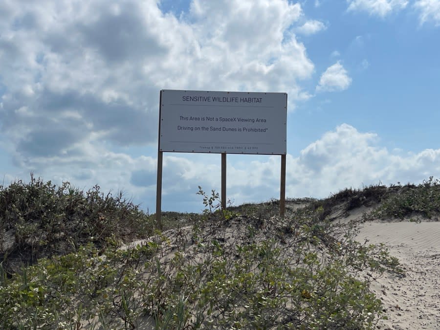 SpaceX’s launch pad is near sand dunes where turtles nest on Boca Chica Beach, Texas. (Sandra Sanchez/Border Report)