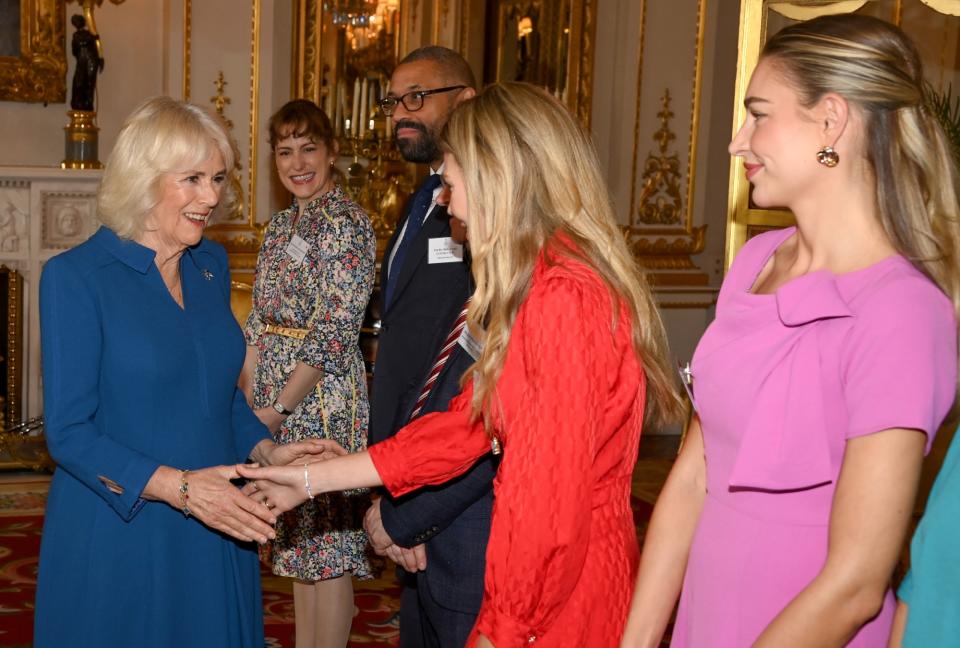 Queen Camilla, blue dress by Anne Valentine, survivor of sexual assault, Wash Bags Project initiative