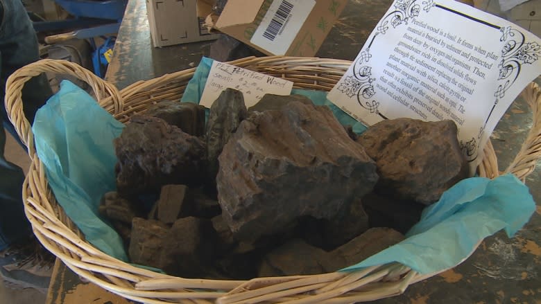 Digging up the past: Filmmaker uncovers P.E.I.'s prehistoric history