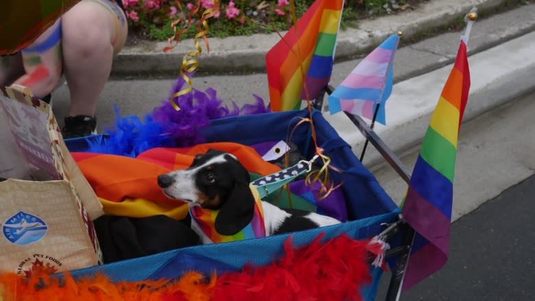 Springdale students lead the way at annual St. John's Pride Parade