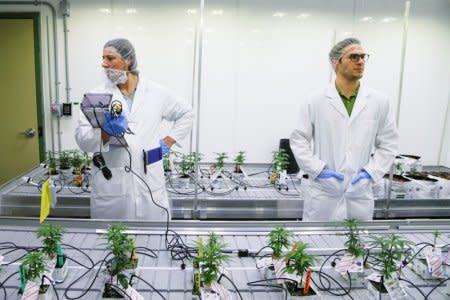 Students Michal Marcinkiewicz and Carson Otto measure the light in the marijuana lab at the new Commercial Cannabis Production Program at Niagara College in Niagara-On-The-Lake, Ontario, Canada, October 9, 2018.  REUTERS/Carlos Osorio