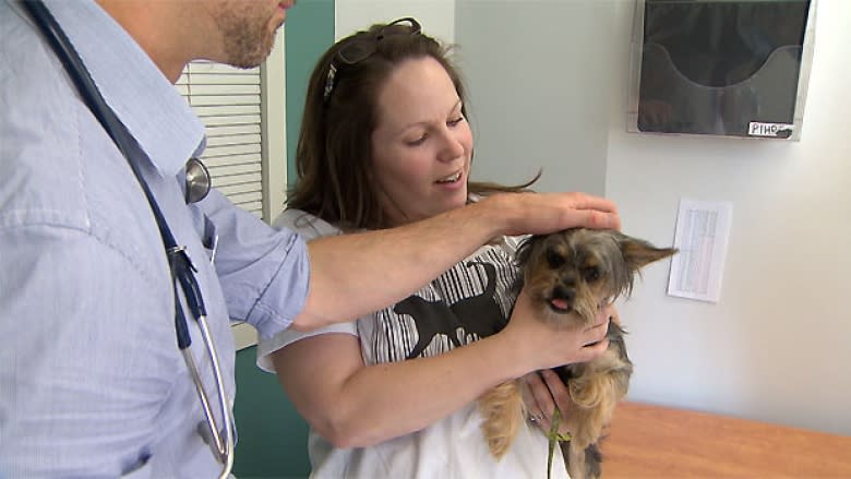 Downtown Eastside free pet care clinic means one less worry