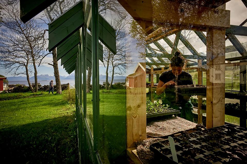 Lofoten Island Norwegian Farm Feast