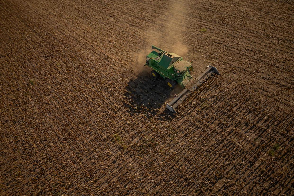 This aerial view taken on September 16, 2023 shows a combine harvester collecting sunflower seeds in a field outside Kryvyi Rig, amid the Russian invasion of Ukraine (AFP via Getty Images)