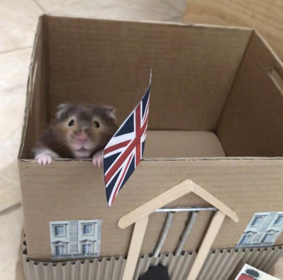 Spud the hamster ruled in cardboard replicas of real European landmarks, including Buckingham Palace. Lisa Murray-Lang / SWNS.COM