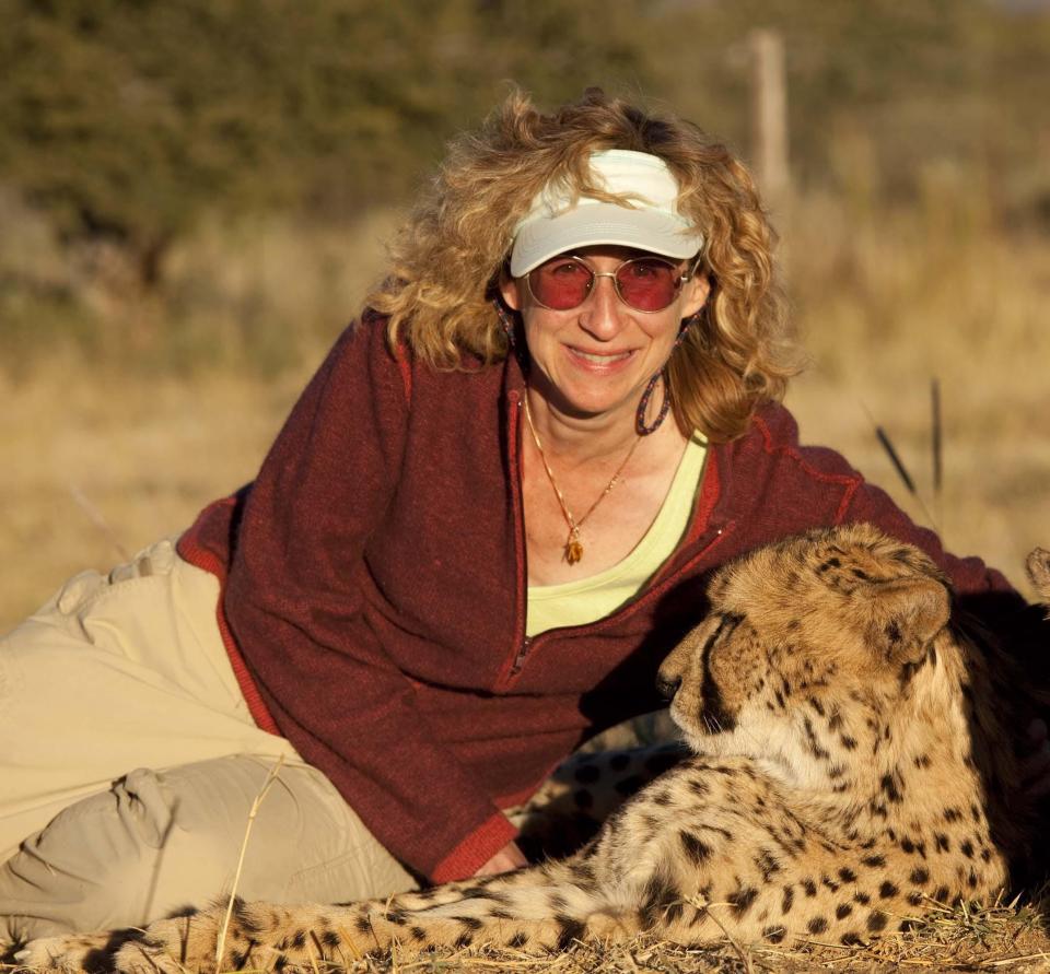 Bestselling author Sy Montgomery is pictured with a cheetah in Namibia. She lives in New Hampshire with her husband, and met virtually with a Krempels Center book club that had read her book, "The Soul of an Octopus."