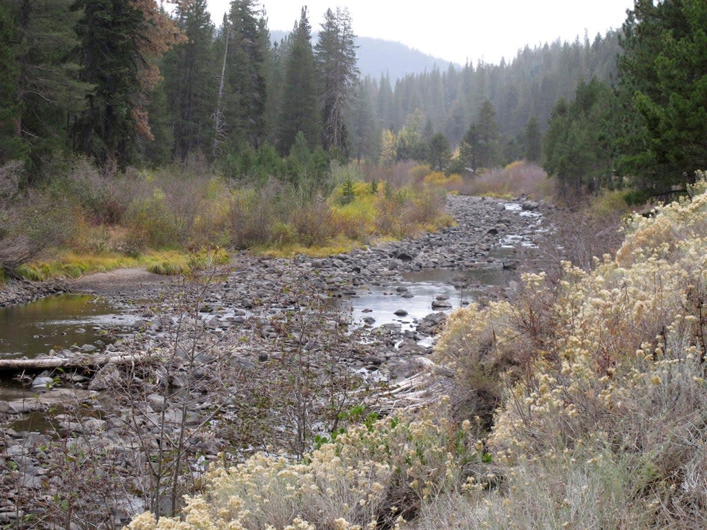 Lake Tahoe Climate Change (Copyright 2021 The Associated Press. All rights reserved.)