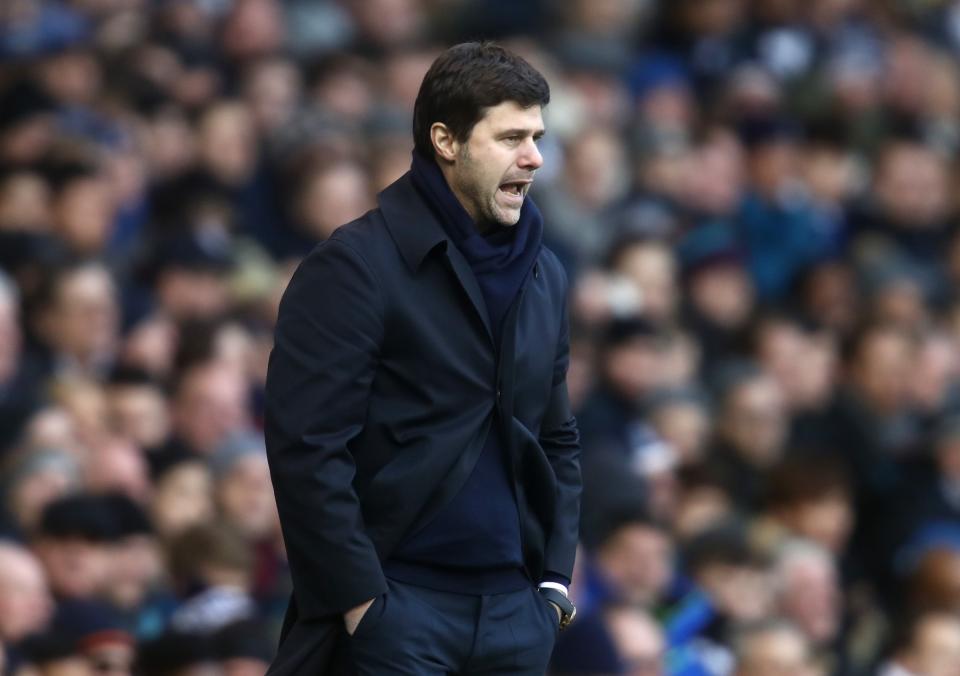 <p>Spurs boss Mauricio Pochettino issues commands </p>