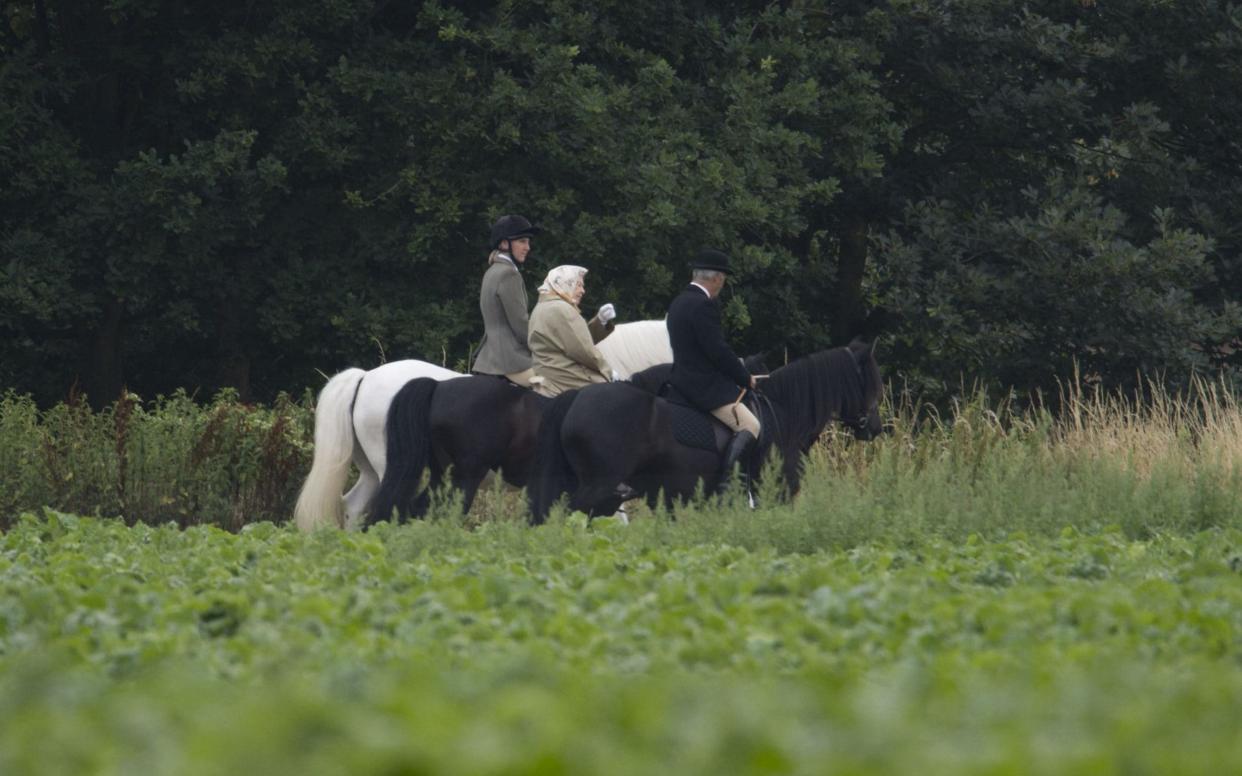  Royals riding at Windsor Castle - Rex Features