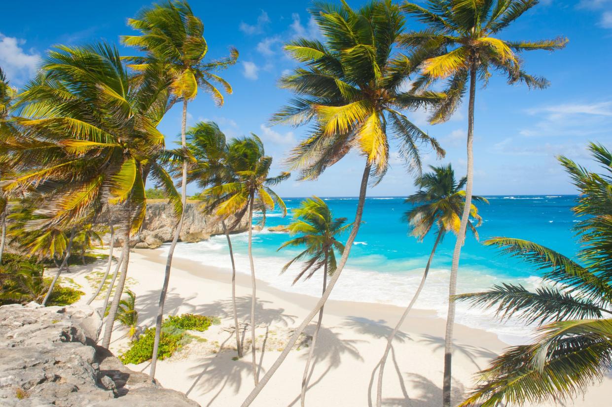 Bottom Bay, Barbados, beach, palm trees, and ocean on a sunny day
