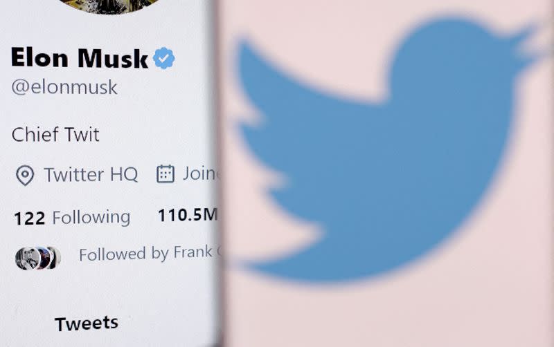 FILE PHOTO: Illustration shows Elon Musk's account and Twitter logo