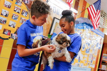 Children pet the dog "Petey" at MS 88 middle school in the neighborhood of Brooklyn in New York, U.S., August 10, 2017. REUTERS/Eduardo Munoz