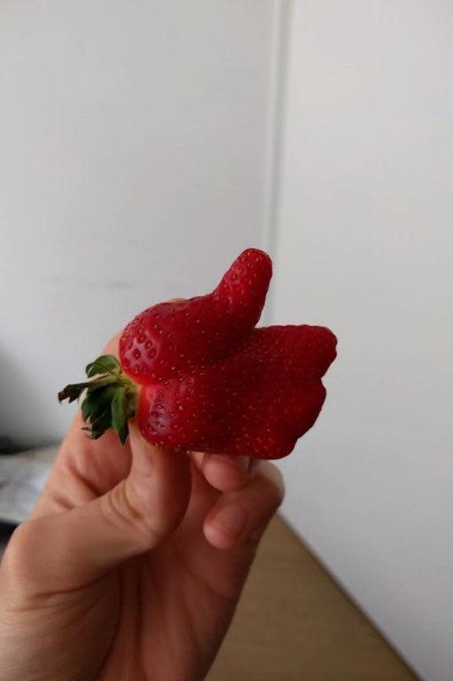 When a strawberry is more positive than you