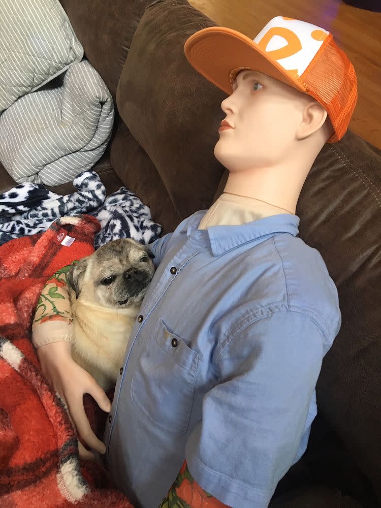 Dog with Separation Anxiety Finds Comfort in Mannequin