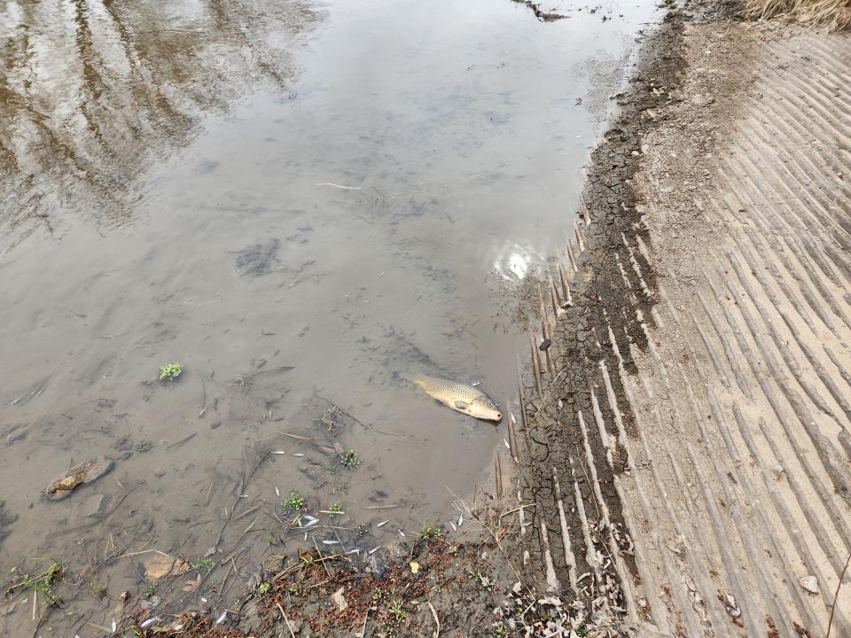 NEW Cooperative reported in March that a valve that had been open over the weekend released 265,000 gallons of liquid nitrogen into the East Nishnabotna River. The Iowa Department of Natural Resources says the spill killed 750,000 fish.