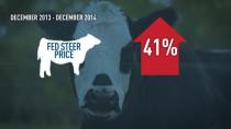 Beef, cattle prices bounce back to record highs