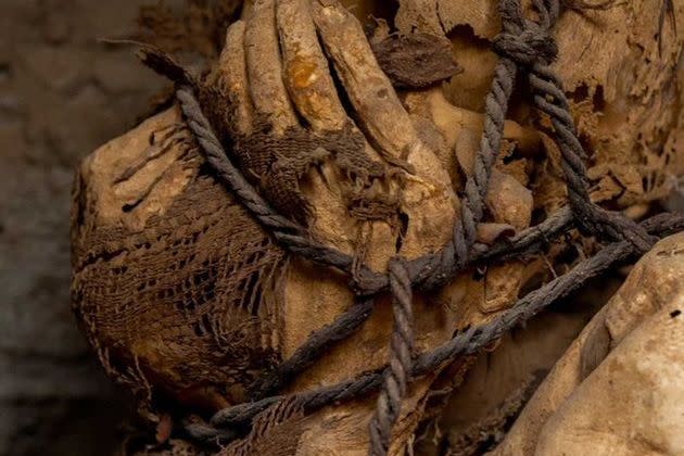 <p>La momie estimée entre 800 et 1.200 ans a été trouvée en octobre dernier dans une tombe souterraine sur le&nbsp;site archéologique de Cajamarquilla, en pleine cordillère des Andes, au Pérou.</p>