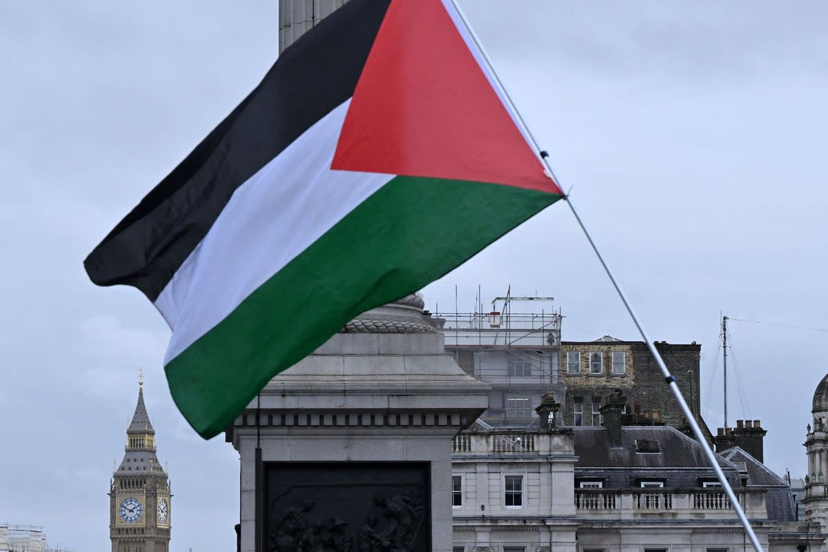 NHS staff will be banned from displaying Palestinian flags at work if the Conservatives win the General Election, Health Secretary Victoria Atkins has said (File picture)  (AFP via Getty Images)