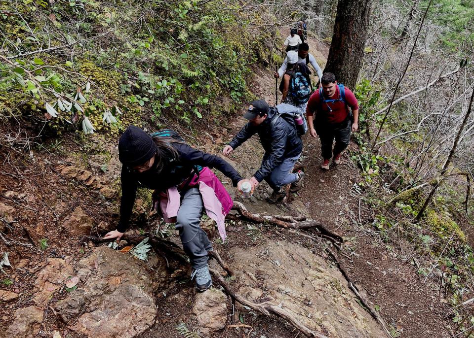 Hikers make their way up Mount Storm King at Olympic National Park in Washingon.