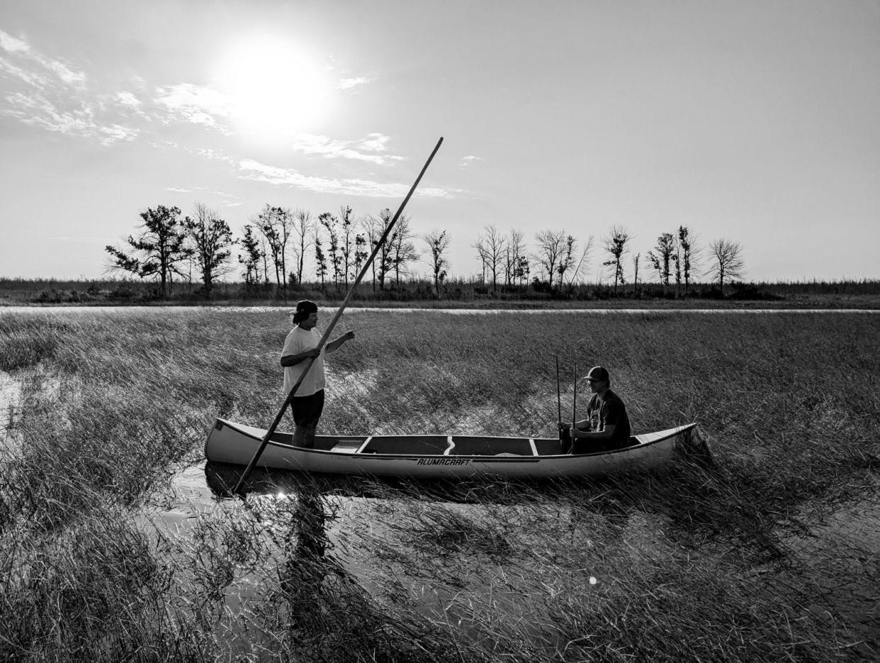 Ben Connors, Jr., 18, (red shirt) and his brother, Brayden Connors, 16, harvest wild rice this late summer on the Kakagon Sloughs on the Bad River Ojibwe Reservation in far northern Wisconsin.