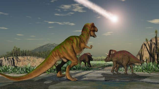  Dinosaurs look on as an asteroid plumets through the sky. 
