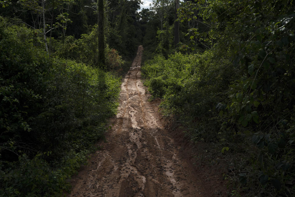 In this Nov. 22, 2019 photo, the sun lights part of a path opened by illegal loggers in the Renascer Reserve of the Amazon rainforest in Prainha, Para state, Brazil. This area is known to have trees with high economic value such as ipe, jatoba and massaranduba. (AP Photo/Leo Correa)