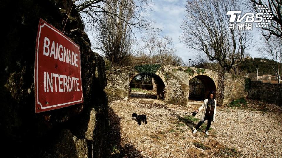 法國民眾牽著愛犬散步，經過寫著「禁止游泳」的看板。（圖／達志影像路透社）