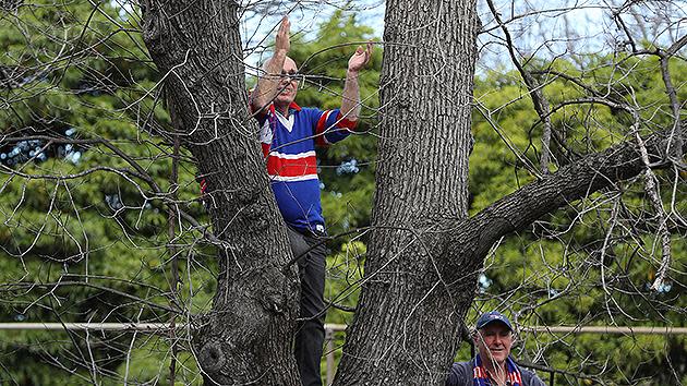 Some fans went to more extreme lengths for a good view of the parade. Pic: Getty