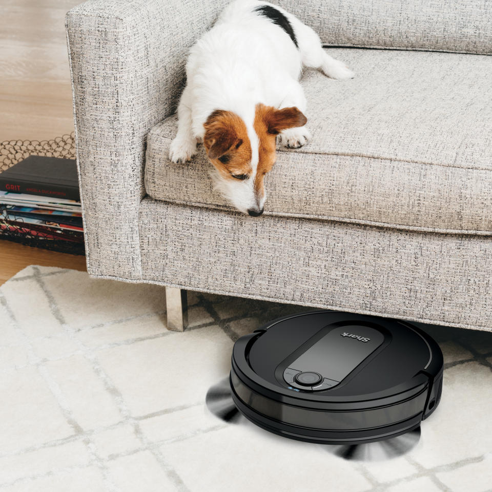 Shark IQ robot vacuum dog on sofa