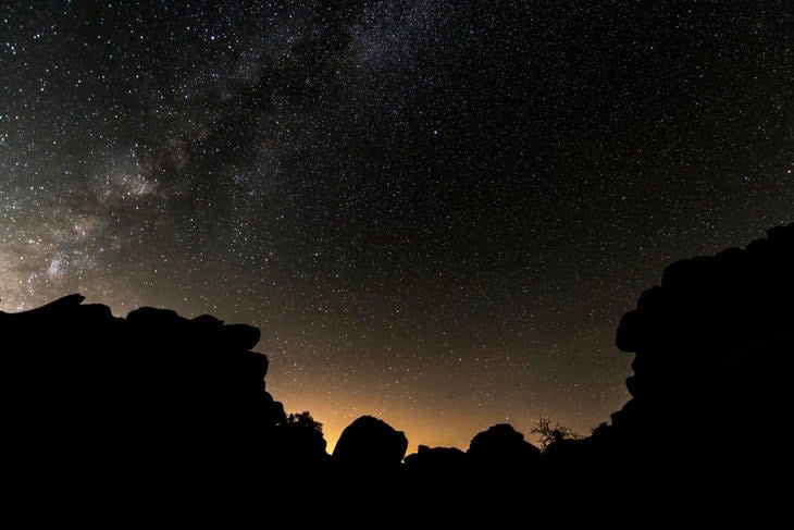 Starry Skies in Joshua Tree