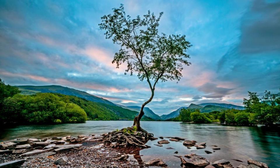 <span>Photograph: Peter Byrne/PA</span>