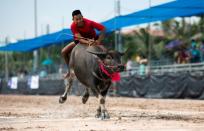 The races started as a way for farmers to blow off steam during the arduous rice-planting season