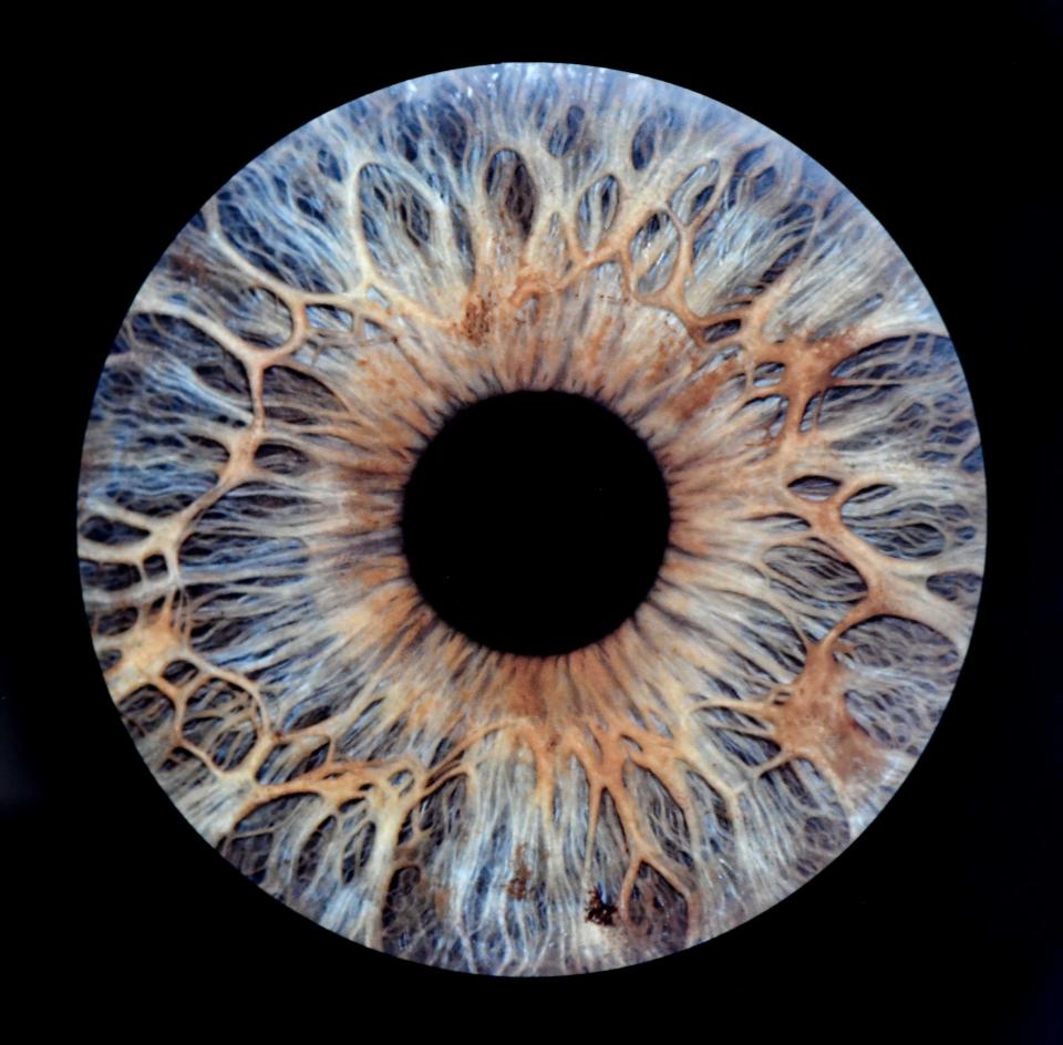 The intricate patterns and colors of the human iris are revealed in this high resolution macro photograph made by Gia Roche, who recently opened her Eye Wonder iris gallery and photography studio in Destin Commons.