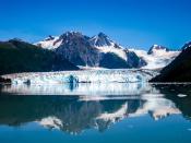 20 reasons why you must go on a cruise to Alaska