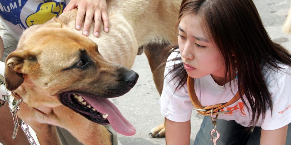 An animal rights protestor beside a dog in South Korea.