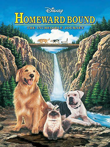 Homeward Bound: The Incredible Journey