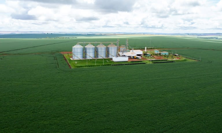 Vue aérienne d'une plantation de soja dans l'Etat de Goias, au Brésil, le 22 janvier 2024 (Sergio Lima)