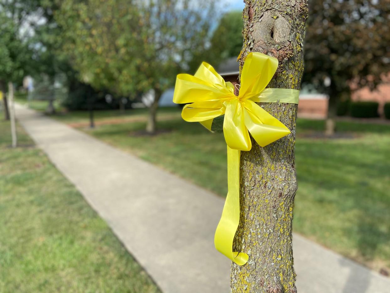 Yellow ribbons in honor of missing mother Suzanne Morphew.