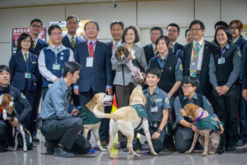 20190621-農委會防檢局檢疫犬以米格魯為主要使用的犬種，近半年來由於因應對岸中國非洲豬瘟疫情蔓延，檢疫犬越趨重要，不少民眾認為其是「護國神犬」，藉由靈敏嗅覺，不讓外來豬肉製品入境台灣。圖為總統蔡英文視察桃園機場，特別與檢疫犬互動。（取自總統府）