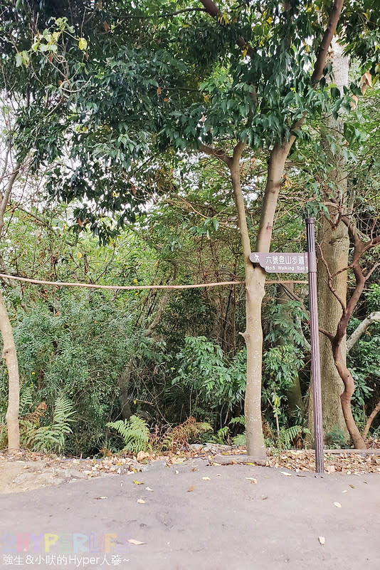 台中大坑六號七號登山步道