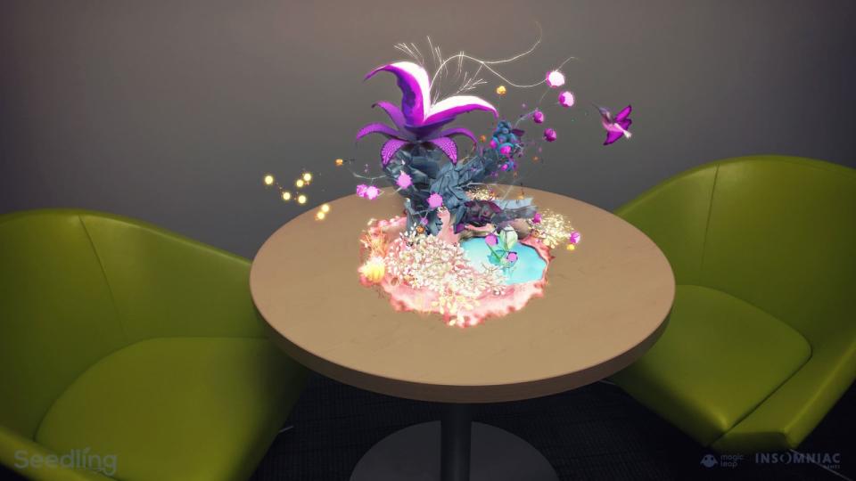 Seedling Magic Leap