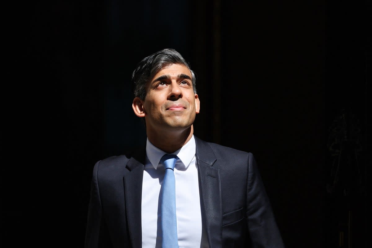 Prime Minister Rishi Sunak has been unveiling his policies during the election campaign  (AFP via Getty Images)