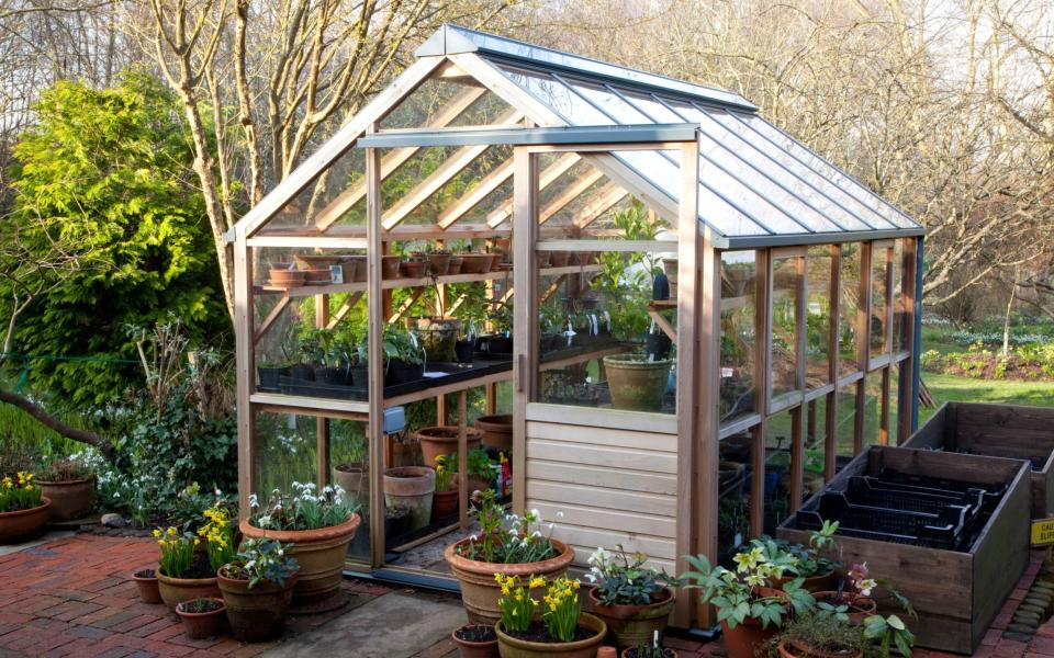 A greenhouse - GAP Photos