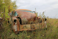 <p>Unlike the bulk of the Ron’s Auto Salvage’s cars, which are parked in the woods, this 1954 Ford is one of several cars located in a field at the edge of the property. They see some <strong>sunshine</strong>, so aren’t permanently damp, and are more likely to have some rot-free body panels.</p><p>In 1954, Ford clinched the top sales spot by a narrow margin, outselling Chevrolet by just 22,381 units, a feat it hadn't accomplished since 1949.</p>