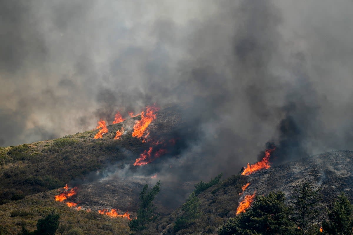 The crash is believed to have occurred in the village of Platanistos  where wildfires are raging (Copyright 2023 The Associated Press. All rights reserved)