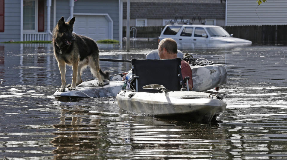 Esta fotografía del lunes 17 de septiembre muestra a un hombre que trata de sacar a su perro de un vecindario inundado en Lumberton, Carolina del Norte. (AP Foto/Gerry Broome)