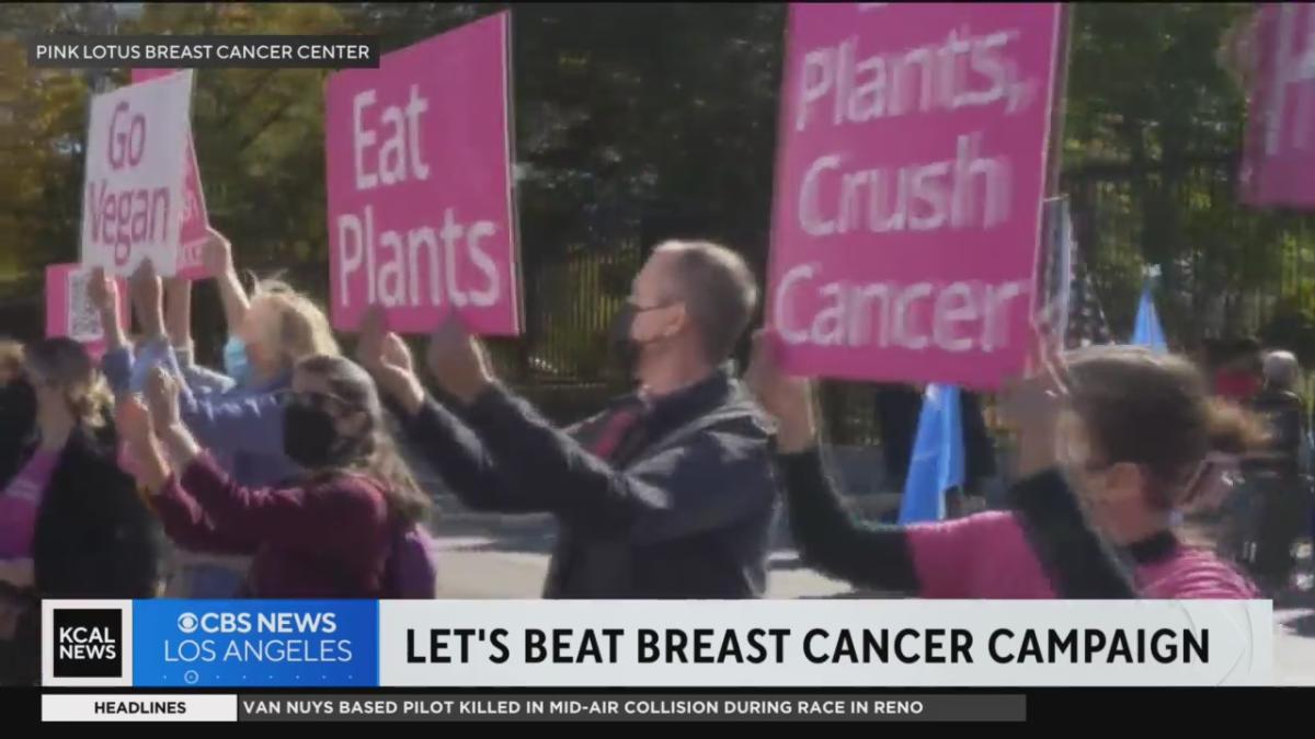 Breast Cancer Awareness Month: How To Get Involved In NYC - CBS