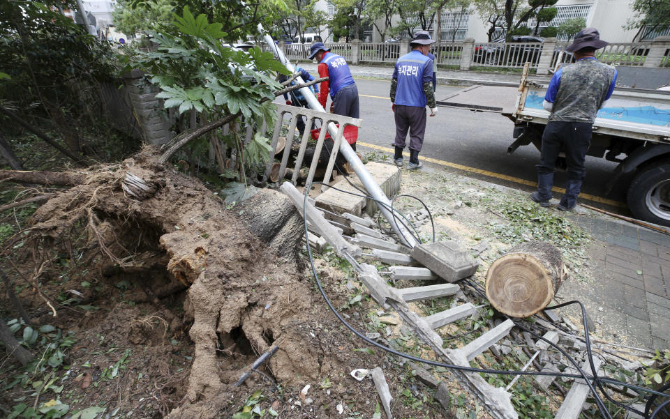 Workers try to recover damaged fence and tree after Typhoon Tapah passed in Busan, South Korea, Monday, Sept. 23, 2019. A powerful typhoon battered southern South Korea, injuring 26 people and knocking out power to about 27,790 houses, officials said Monday. (Son Hyung-joo/Yonhap via AP)