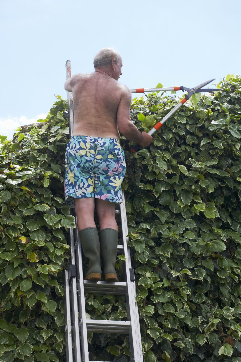 Florida Man Angers Neighbors by Doing Yard Work in the Nude